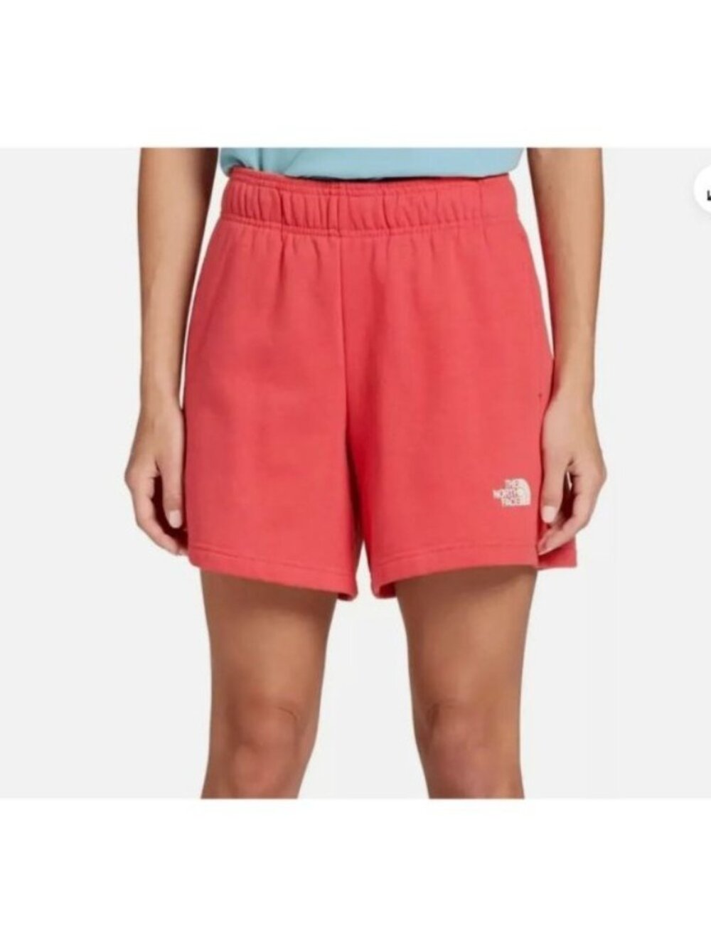 THE NORTH FACE Womens Evolution Clay Red Athletic Shorts size  XXL new $50